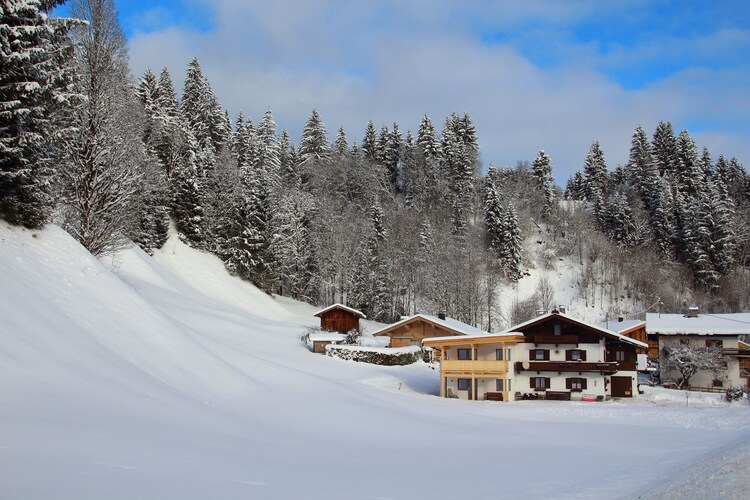 Apartment Tyrol