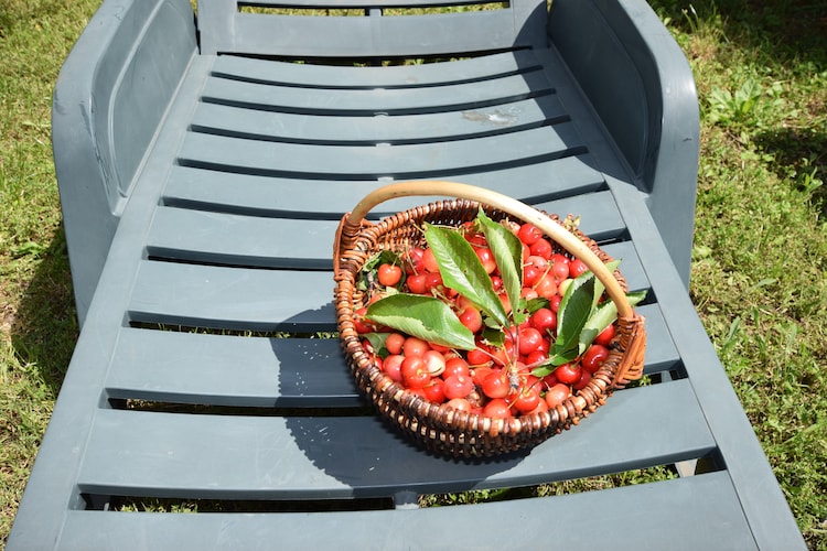 Holiday home Istria