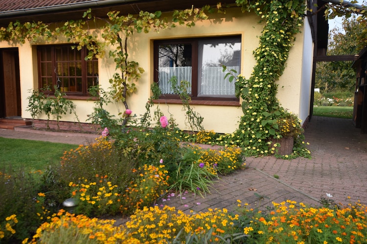 Bungalow Baltic Sea Region