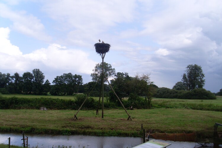 Apartment Drenthe