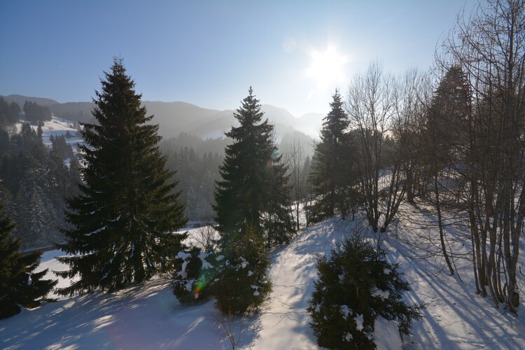 Chalet Northern Alps
