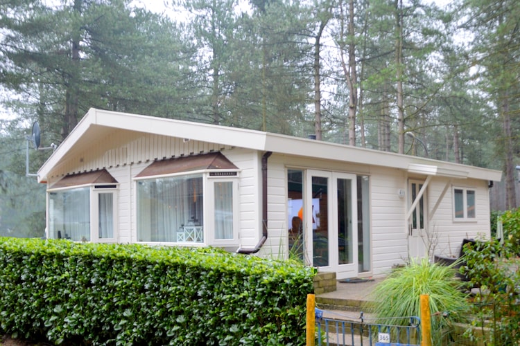 Chalet Antwerp