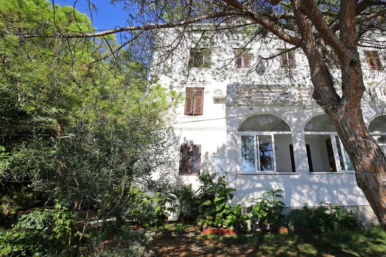 Apartment Dalmatia