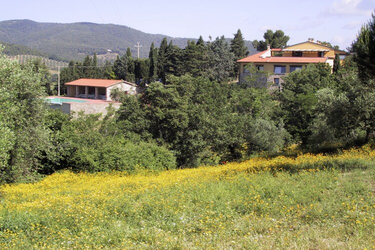 Mansion Tuscany Elba