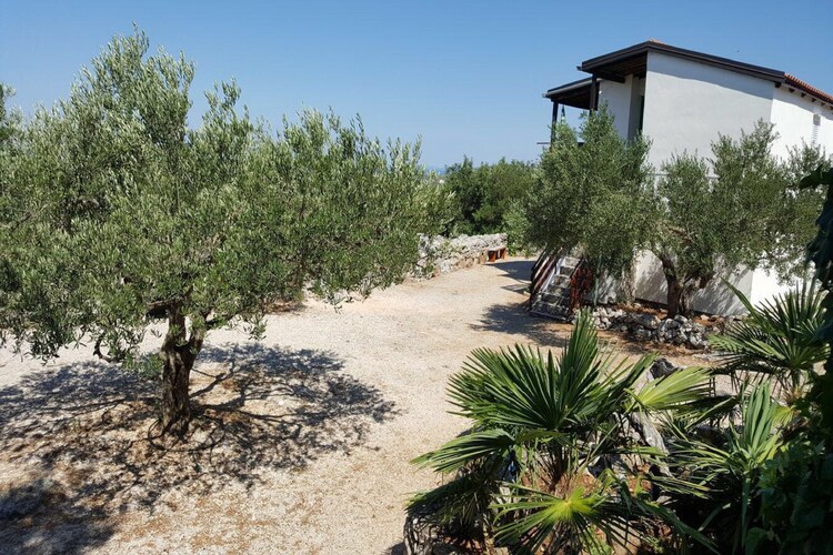 Apartment Dalmatia