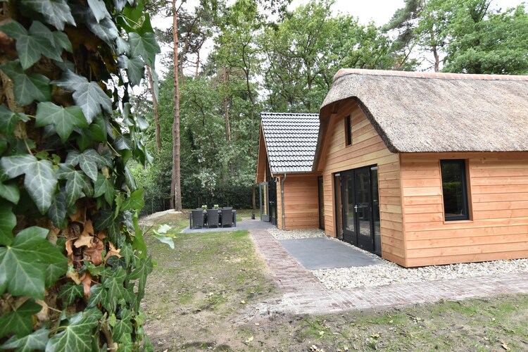 Villa Drenthe