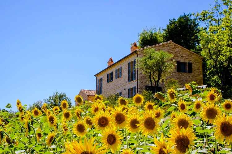 Villa Marche