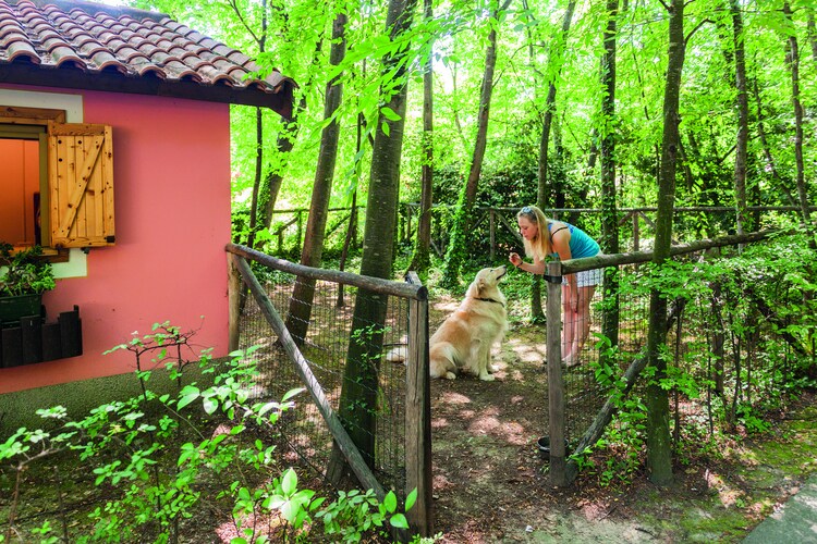 Bungalow Liguria
