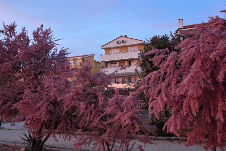 Apartment Dalmatia