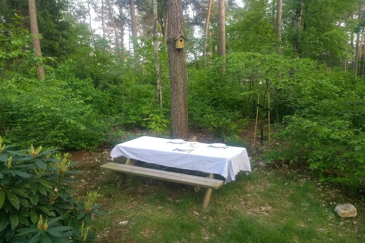 Cottage Utrecht