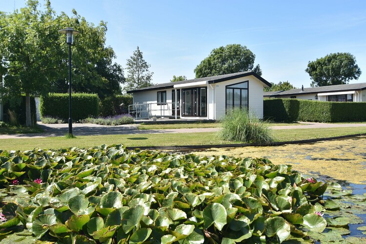 Chalet North Holland