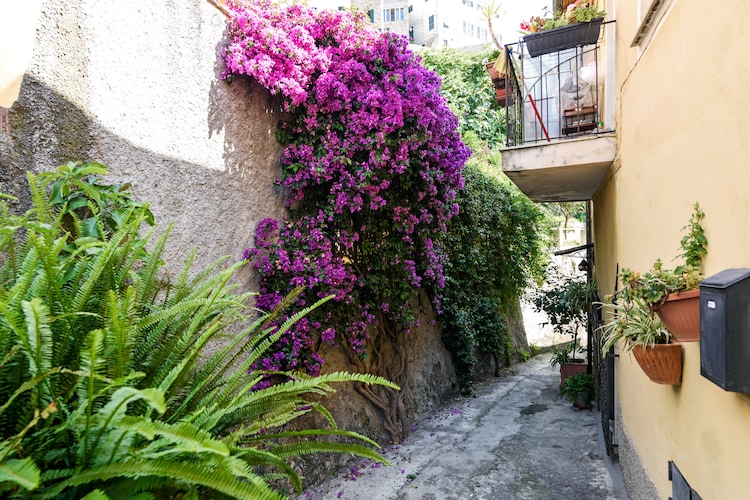 Apartment Liguria