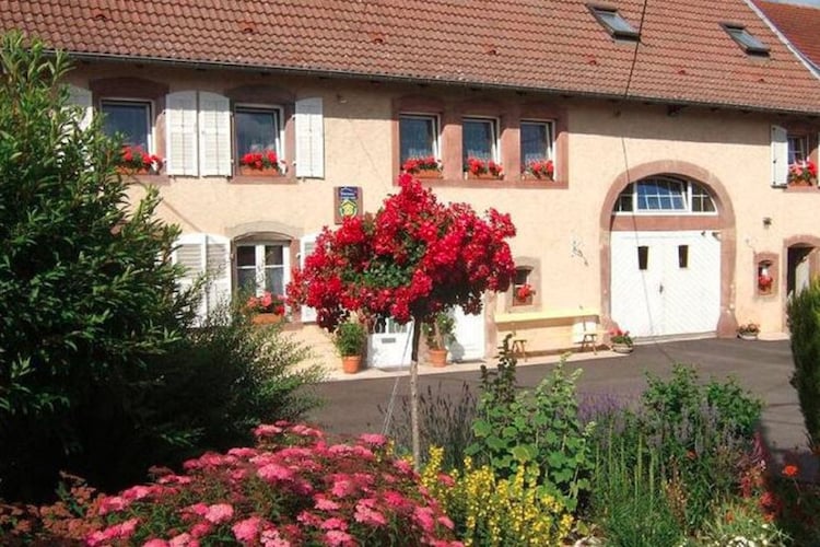 Holiday home Alsace Vosges Lorraine