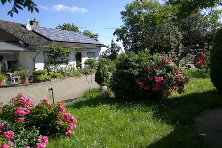 Holiday home Rhineland Palatinate Saarland