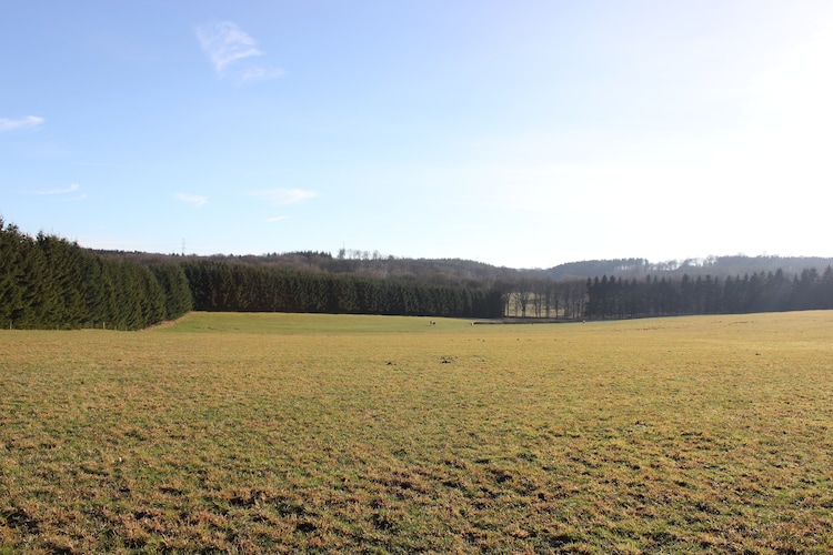 Ferienhaus Ferme des Logis (59116), Longchamps, Luxemburg (BE), Wallonien, Belgien, Bild 26