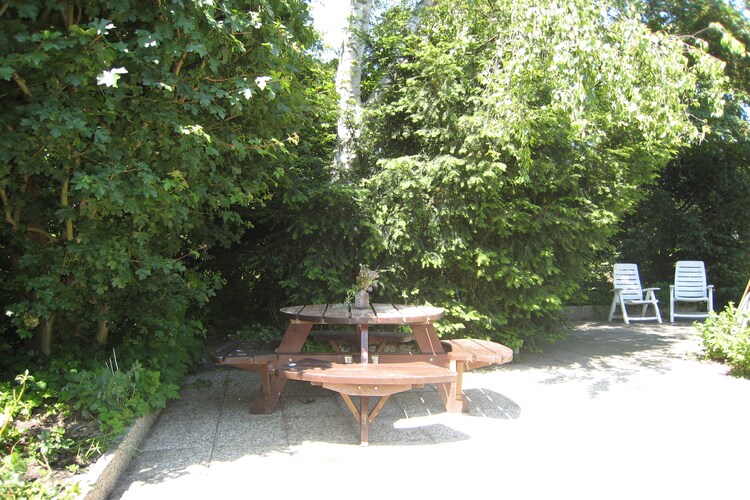Tuin (zomer)