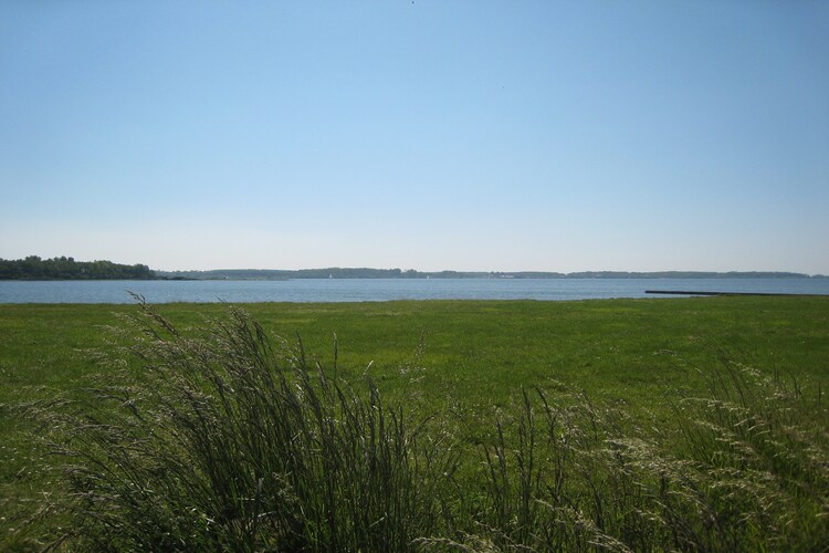 Directe omgeving (zomer) (<1 km)