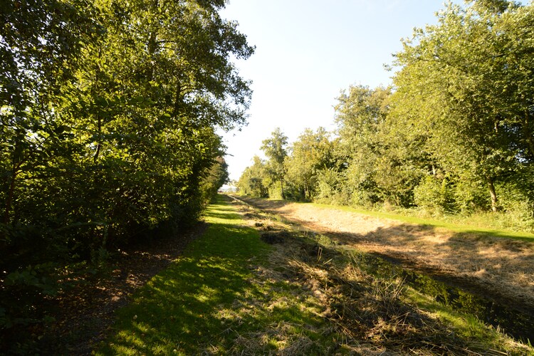 Directe omgeving (zomer) (<1 km)