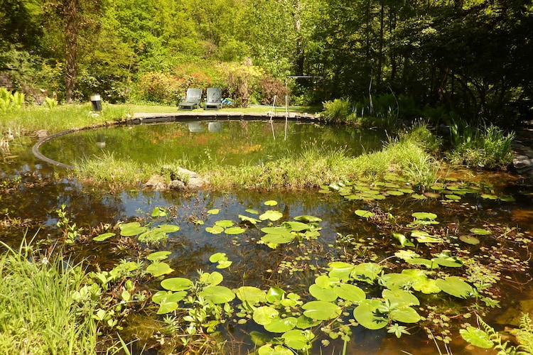 Ferienhaus Le Jardin des Eaux (396508), Robertville, Lüttich, Wallonien, Belgien, Bild 24