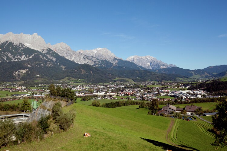 Direkte Umgebung (Sommer) (<1 km)
