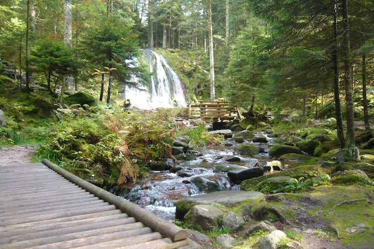 Les 4 Vents - Chalet - Le Tholy
