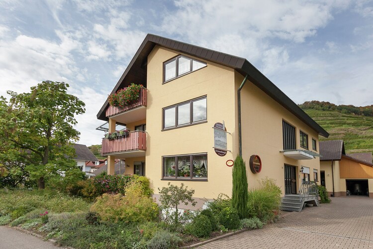 Apartment Black Forest