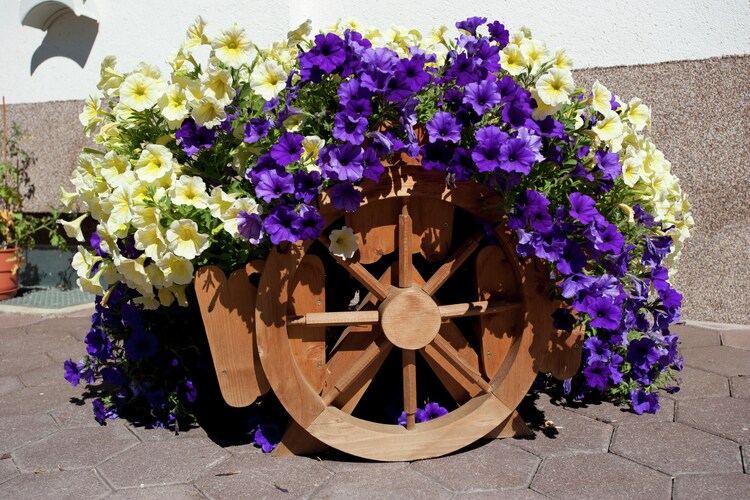 Hohspitz an der Piste - Garden - Summer