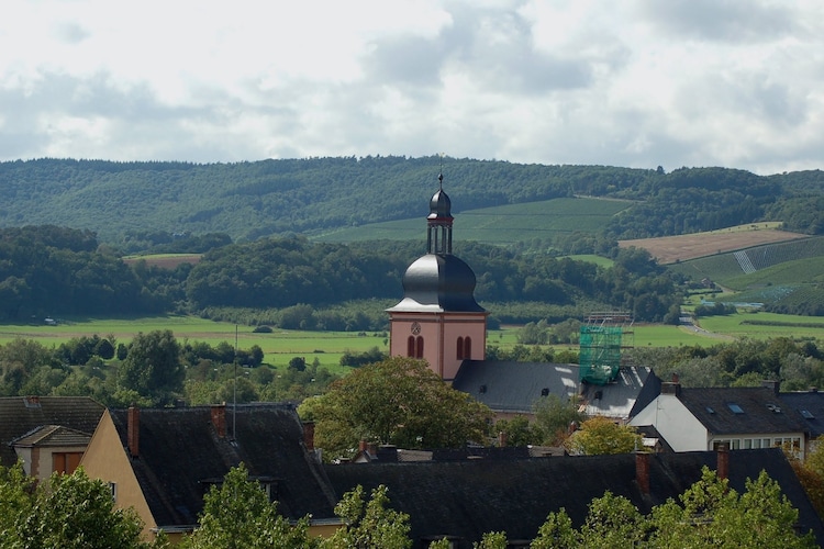 Ferienwohnung Steinkoepfchen (255112), Bombogen, Moseleifel, Rheinland-Pfalz, Deutschland, Bild 23