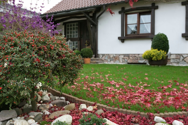 Ferienwohnung Steinkoepfchen (255112), Bombogen, Moseleifel, Rheinland-Pfalz, Deutschland, Bild 2