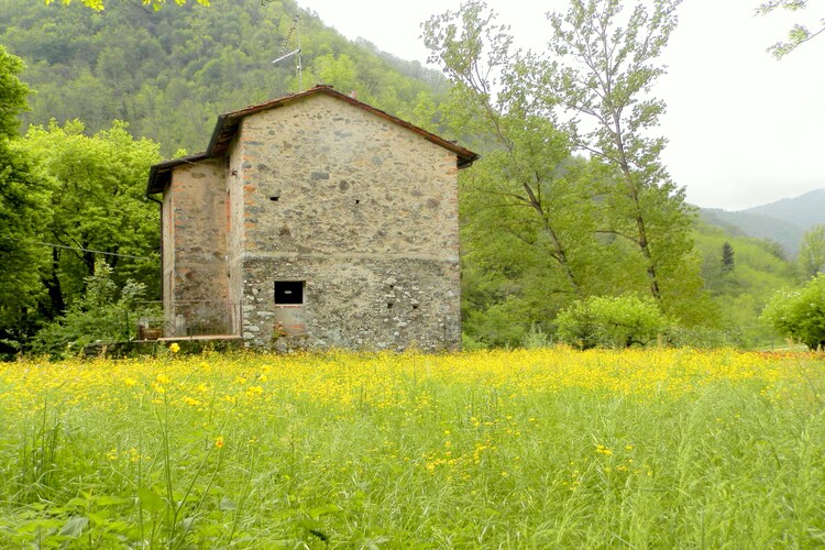 Cottage Tuscany Elba