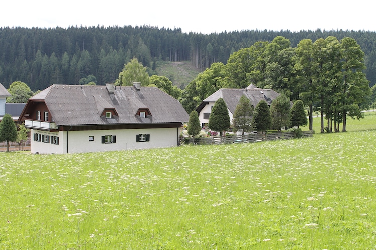 Apartment Styria