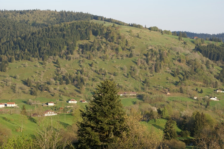 Ferienhaus A l'orée du bois (59129), Le Ménil, Vogesen, Lothringen, Frankreich, Bild 29