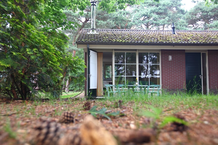 Ferienhaus Bospark de Bikkels (256927), Vlierden, , Nordbrabant, Niederlande, Bild 2