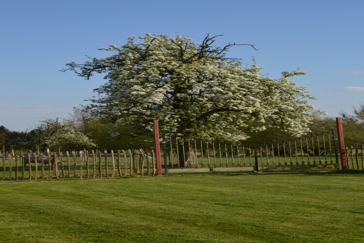 Ferienhaus Het Leemhof (90235), Flobecq, Hennegau, Wallonien, Belgien, Bild 37