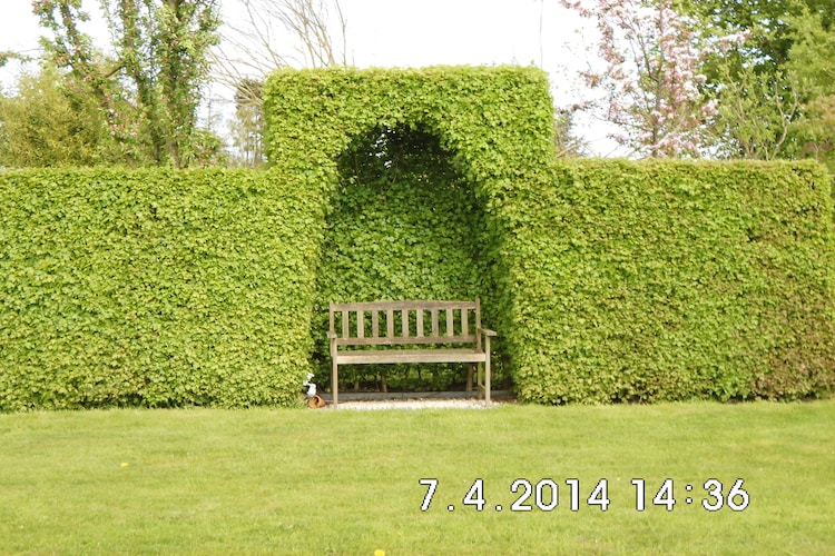 Ferienhaus Het Leemhof (90235), Flobecq, Hennegau, Wallonien, Belgien, Bild 28