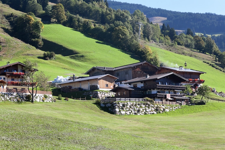 Ferienwohnung Bartolot (253669), Saalbach, Pinzgau, Salzburg, Österreich, Bild 3