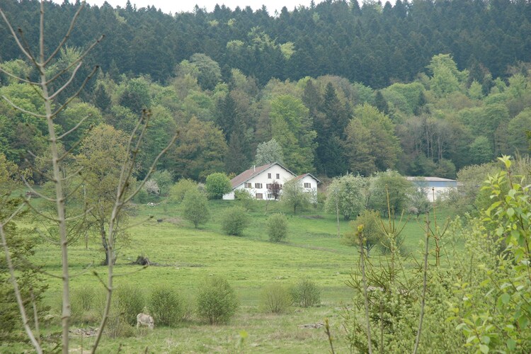 Le Herbau - Chalet - Vagney