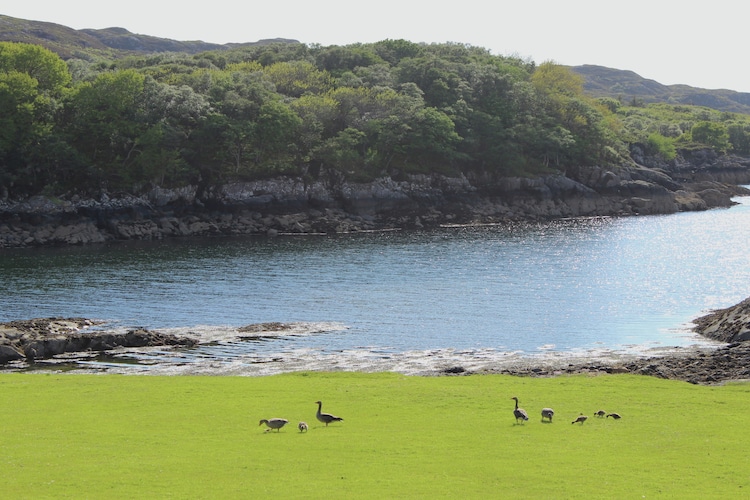 Holiday house Lochinver Lodge (60196), Lochinver, Highlands and Islands, Scotland, United Kingdom, picture 14