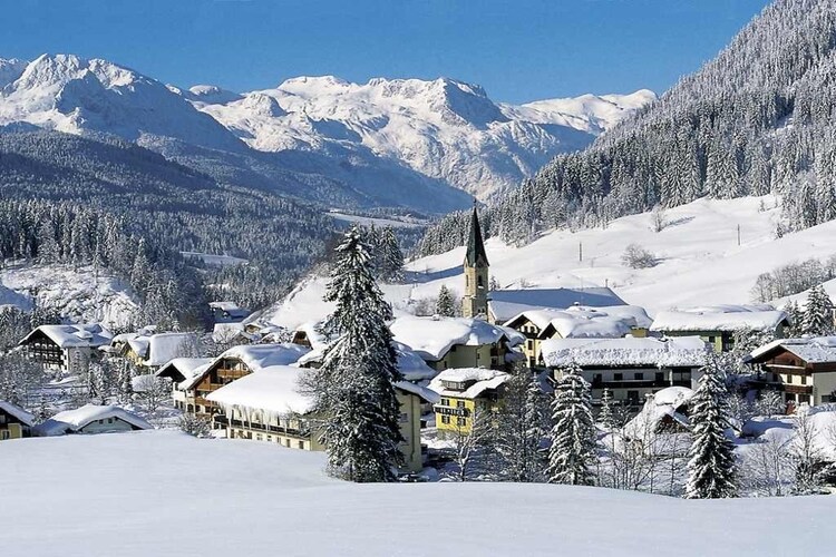 Ferienwohnung Ortner (60735), Rußbach am Paß Gschütt, Tennengau, Salzburg, Österreich, Bild 33