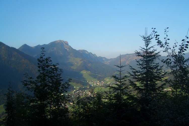 Ferienwohnung Ortner (60735), Rußbach am Paß Gschütt, Tennengau, Salzburg, Österreich, Bild 35