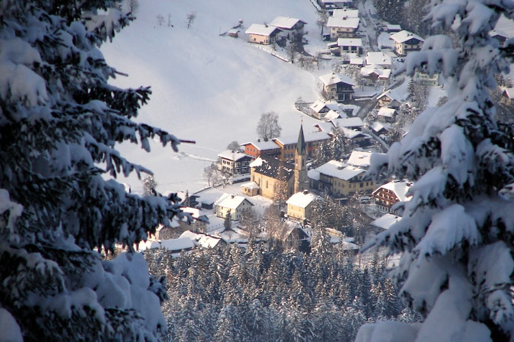 Ferienwohnung Ortner (60735), Rußbach am Paß Gschütt, Tennengau, Salzburg, Österreich, Bild 30