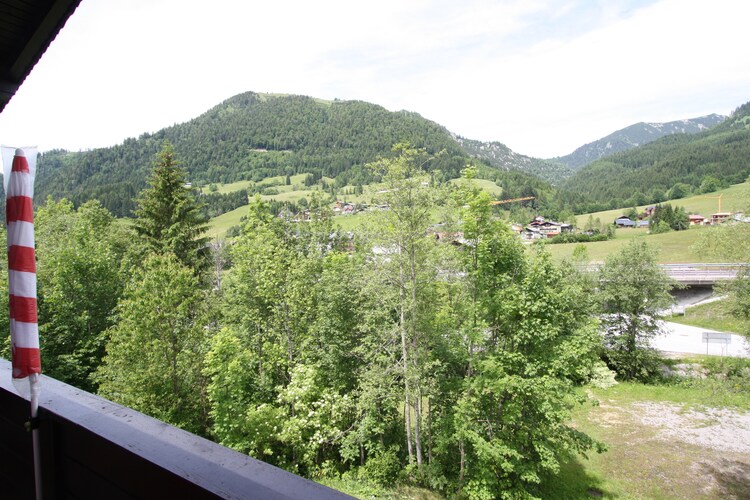 Ferienwohnung Ortner (60735), Rußbach am Paß Gschütt, Tennengau, Salzburg, Österreich, Bild 24