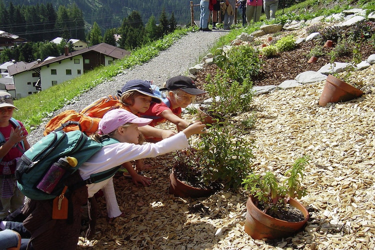 Ferienhaus Selbstversorgerhaus Lumper (60148), Holzgau, Lechtal, Tirol, Österreich, Bild 23