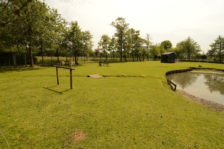 Ferienhaus Sonneborghe (59604), Kollumerzwaag, , , Niederlande, Bild 18