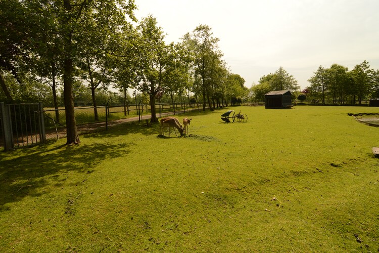 Ferienhaus Sonneborghe (59604), Kollumerzwaag, , , Niederlande, Bild 19