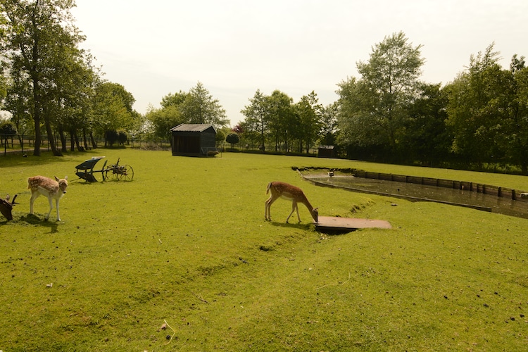 Ferienhaus Sonneborghe (59604), Kollumerzwaag, , , Niederlande, Bild 21