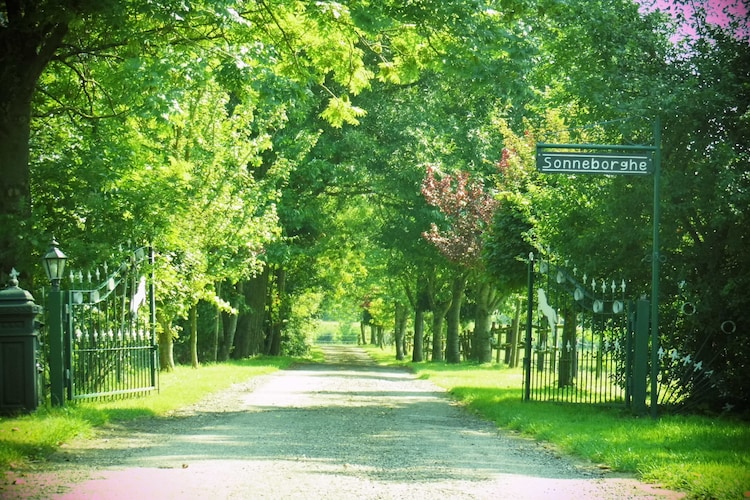 Ferienhaus Sonneborghe (59604), Kollumerzwaag, , , Niederlande, Bild 30