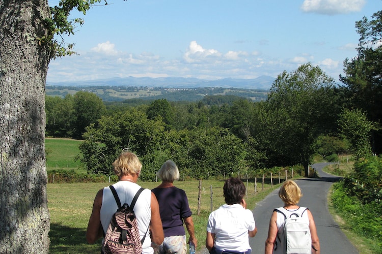 Holiday house La Songeuse (58922), Espinet, Cantal, Auvergne, France, picture 30