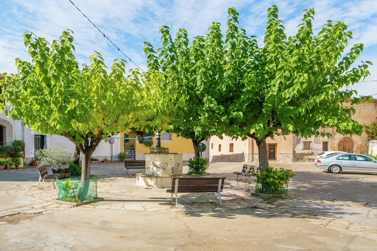 Ferienhaus El Racó (59100), Pacs del Penedès, Barcelona, Katalonien, Spanien, Bild 25