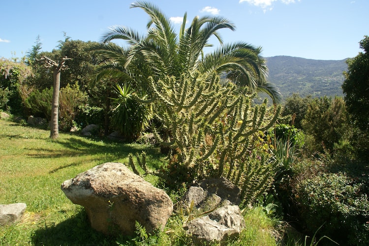 Holiday house Villa - ST ANDREA D'ORCINO (73513), Sant'Andréa d'Orcino, South Corsica, Corsica, France, picture 30